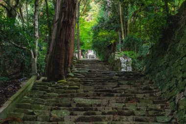 Güz mevsiminde güzel Chomeiji Tapınağı, Biwa Gölü 'nde, Omihachiman kasabası yakınlarında. Shiga Bölgesi, Japonya.