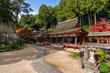 Güz mevsiminde güzel Chomeiji Tapınağı, Biwa Gölü 'nde, Omihachiman kasabası yakınlarında. Shiga Bölgesi, Japonya.