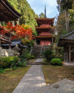Güz mevsiminde güzel Chomeiji Tapınağı, Biwa Gölü 'nde, Omihachiman kasabası yakınlarında. Shiga Bölgesi, Japonya.
