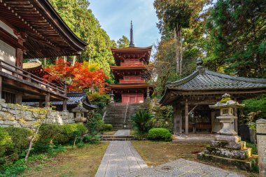 Güz mevsiminde güzel Chomeiji Tapınağı, Biwa Gölü 'nde, Omihachiman kasabası yakınlarında. Shiga Bölgesi, Japonya.