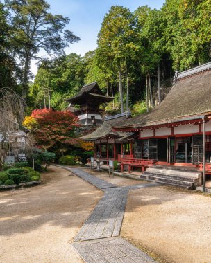 Güz mevsiminde güzel Chomeiji Tapınağı, Biwa Gölü 'nde, Omihachiman kasabası yakınlarında. Shiga Bölgesi, Japonya.
