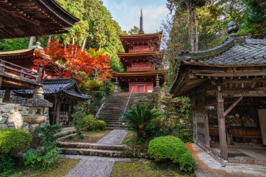 Güz mevsiminde güzel Chomeiji Tapınağı, Biwa Gölü 'nde, Omihachiman kasabası yakınlarında. Shiga Bölgesi, Japonya.