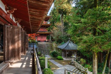 Güz mevsiminde güzel Chomeiji Tapınağı, Biwa Gölü 'nde, Omihachiman kasabası yakınlarında. Shiga Bölgesi, Japonya.