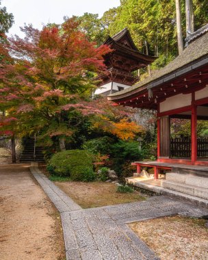 Güz mevsiminde güzel Chomeiji Tapınağı, Biwa Gölü 'nde, Omihachiman kasabası yakınlarında. Shiga Bölgesi, Japonya.