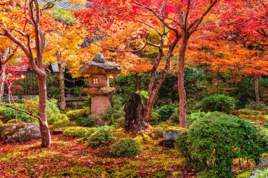 Kyoto, Sakyo, Japonya 'da sonbahar sezonu boyunca muhteşem Enko-ji Tapınağı..