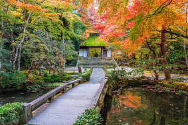 Kyoto, Sakyo, Japonya 'daki Fevkalade Honen-in Tapınağı..