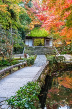 Kyoto, Sakyo, Japonya 'daki Fevkalade Honen-in Tapınağı..