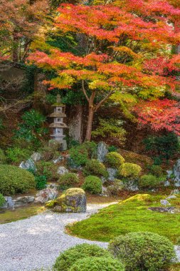 Kyoto, Sakyo, Japonya 'da sonbahar sezonu boyunca güzel Manshu-in Tapınağı..