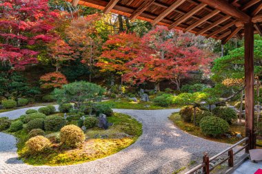 Kyoto, Sakyo, Japonya 'da sonbahar sezonu boyunca güzel Manshu-in Tapınağı..
