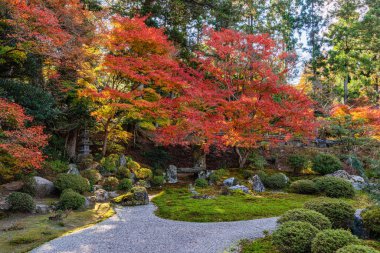 Kyoto, Sakyo, Japonya 'da sonbahar sezonu boyunca güzel Manshu-in Tapınağı..