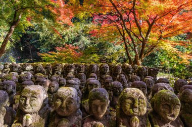 Kyoto, Ukyo, Japonya 'da sonbahar sezonu boyunca muhteşem Otagi Nenbutsu-ji Tapınağı.