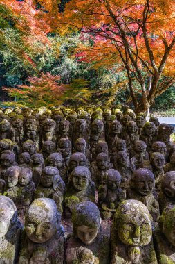 Kyoto, Ukyo, Japonya 'da sonbahar sezonu boyunca muhteşem Otagi Nenbutsu-ji Tapınağı.