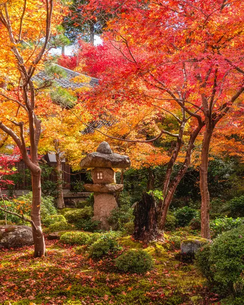Kyoto, Sakyo, Japonya 'da sonbahar sezonu boyunca muhteşem Enko-ji Tapınağı..