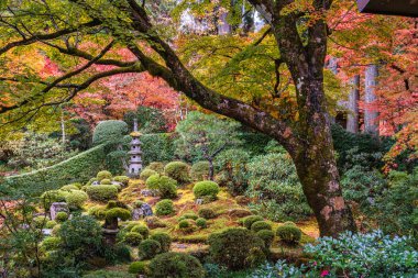Sonbahar sezonunda Ohara 'daki güzel Sanzen-in Tapınağı. Kyoto, Japonya.