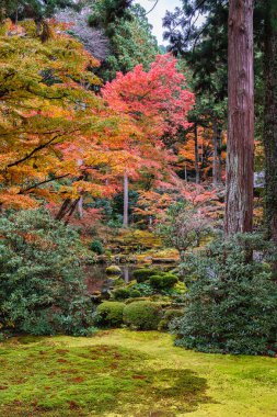 Sonbahar sezonunda Ohara 'daki güzel Sanzen-in Tapınağı. Kyoto, Japonya.