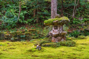 Sonbahar sezonunda Ohara 'daki güzel Sanzen-in Tapınağı. Kyoto, Japonya.