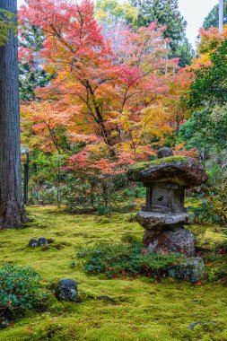 Sonbahar sezonunda Ohara 'daki güzel Sanzen-in Tapınağı. Kyoto, Japonya.