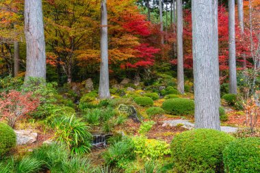 Sonbahar sezonunda Ohara 'daki güzel Sanzen-in Tapınağı. Kyoto, Japonya.