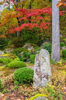 Sonbahar sezonunda Ohara 'daki güzel Sanzen-in Tapınağı. Kyoto, Japonya.