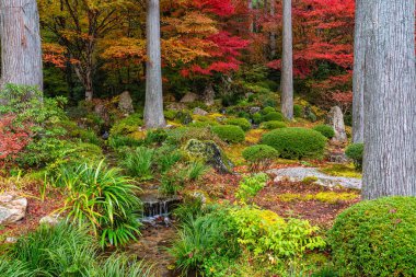 Sonbahar sezonunda Ohara 'daki güzel Sanzen-in Tapınağı. Kyoto, Japonya.