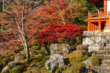 Güzel Daigo-ji Tapınağı ve onun sonbahar dönemi bahçesi. Kyoto, Japonya.