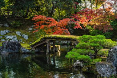 Yaz mevsimi boyunca güzel Daigo-ji Sambo-in Teien Garden. Kyoto, Japonya. 