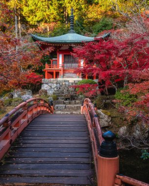 Güzel Daigo-ji Tapınağı ve onun sonbahar dönemi bahçesi. Kyoto, Japonya.