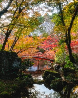 Güzel Daigo-ji Tapınağı ve onun sonbahar dönemi bahçesi. Kyoto, Japonya.