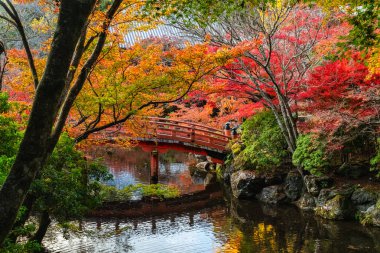 Güzel Daigo-ji Tapınağı ve onun sonbahar dönemi bahçesi. Kyoto, Japonya.