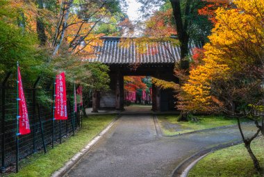 Güzel Daigo-ji Tapınağı ve onun sonbahar dönemi bahçesi. Kyoto, Japonya.