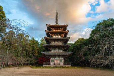 Güzel Daigo-ji Tapınağı ve onun sonbahar dönemi bahçesi. Kyoto, Japonya.