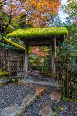 Sonbahar sezonunda Ohara 'daki güzel Jakko-in Tapınağı. Kyoto, Japonya.