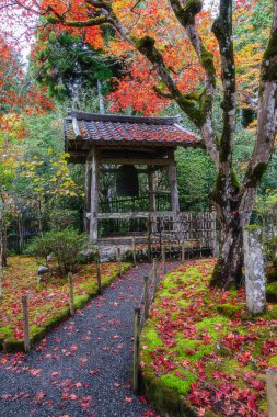 Sonbahar sezonunda Ohara 'daki güzel Jakko-in Tapınağı. Kyoto, Japonya.