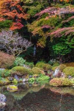Sonbahar sezonunda Ohara 'daki güzel Jakko-in Tapınağı. Kyoto, Japonya.