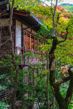 Sonbahar sezonunda Ohara 'daki güzel Jakko-in Tapınağı. Kyoto, Japonya.