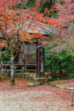 Sonbahar sezonunda Takao 'daki muhteşem Jingo-ji Tapınağı. Ukyo bölgesi, Kyoto, Japonya.