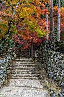 Sonbahar sezonunda Takao 'daki muhteşem Kozan-ji Tapınağı. Ukyo bölgesi, Kyoto, Japonya.