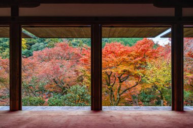 Sonbahar sezonunda Takao 'daki muhteşem Kozan-ji Tapınağı. Ukyo bölgesi, Kyoto, Japonya.