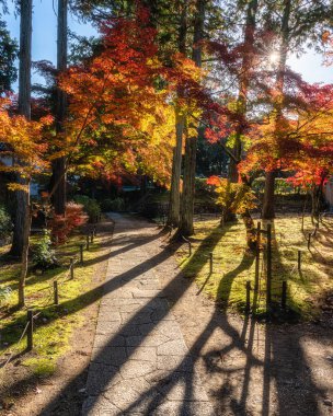Güzel Shinsho Gokurakuji Tapınağı sonbahar mevsiminde güneşli bir sabahta, Japonya 'nın Kyoto kentinde..