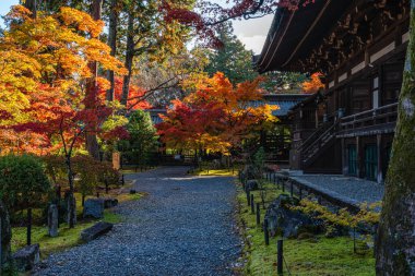 Güzel Shinsho Gokurakuji Tapınağı sonbahar mevsiminde güneşli bir sabahta, Japonya 'nın Kyoto kentinde..