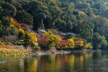 Japonya 'nın Kyoto kentindeki Uji nehri boyunca güneşli bir sonbahar sabahında manzara..