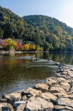 Japonya 'nın Kyoto kentindeki Uji nehri boyunca güneşli bir sonbahar sabahında manzara..