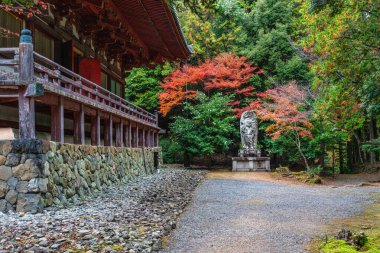 Sonbahar sezonunda Takao 'daki muhteşem Jingo-ji Tapınağı. Ukyo bölgesi, Kyoto, Japonya.