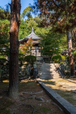 Uji, Kyoto, Japonya 'daki güzel Manpuku-ji Tapınağı.