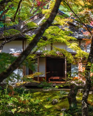 Güzel Jojakko-ji Tapınağı güneşli bir sonbahar sabahında, Japonya 'nın Kyoto kentinde..