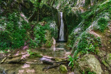 Güzel Cascate di Rioscuro (Rioscuro Şelaleleri), Cineto Romano yakınlarında, Roma, Lazio, İtalya.