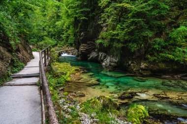 Triglav Ulusal Parkı 'ndaki ünlü Vintgar Vadisi' nde manzara. Slovenya.