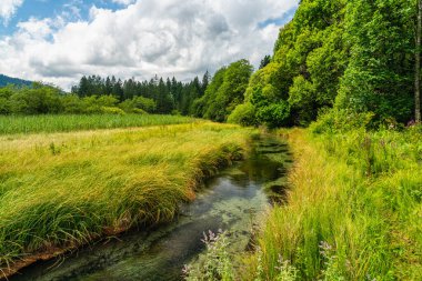 Slovenya 'nın Kranjska Gora kenti yakınlarındaki Zelenci Springs' te Idyllic manzara.