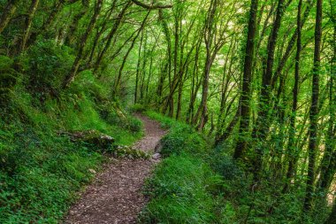 İtalya 'nın Campania bölgesindeki muhteşem 