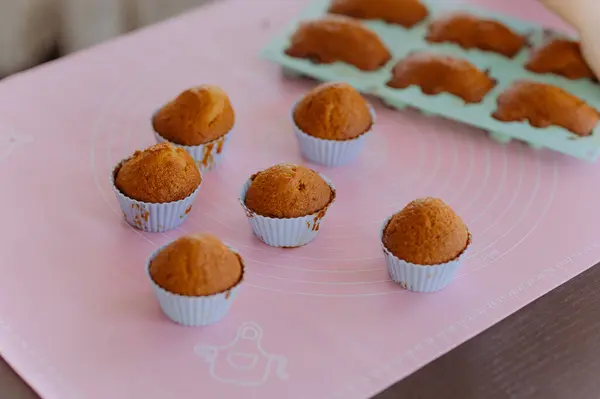Chocolate Sponge Cookies Freshly Baked Table Baking Cookies Shape Bear — Stock Photo, Image